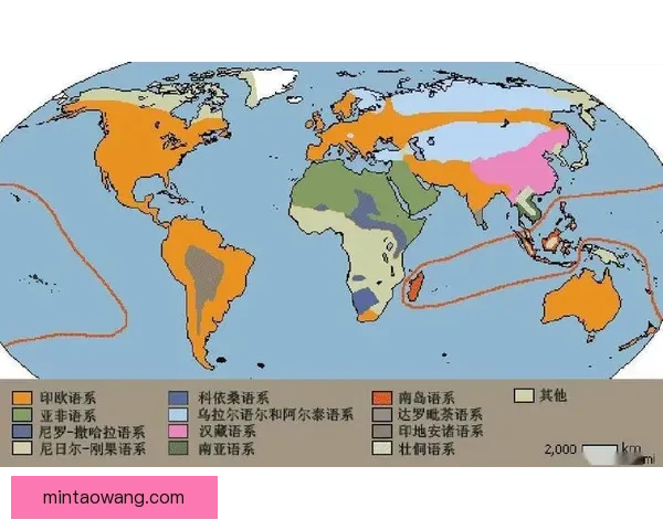 中文与世界语言的对比探索：从文化传承到现代交流的多维视角